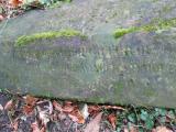 image of grave number 280986